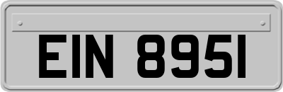 EIN8951