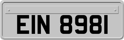 EIN8981