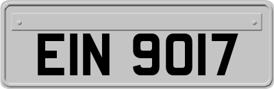 EIN9017