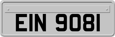 EIN9081