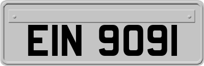EIN9091