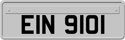 EIN9101