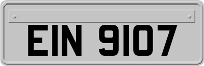 EIN9107