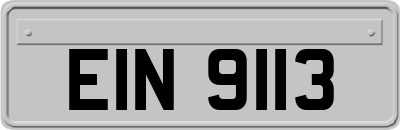 EIN9113