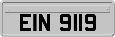 EIN9119