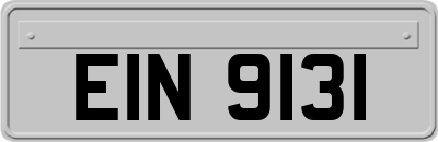 EIN9131
