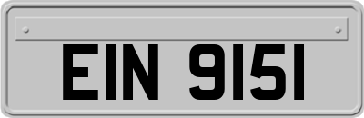 EIN9151