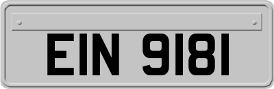 EIN9181
