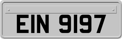 EIN9197