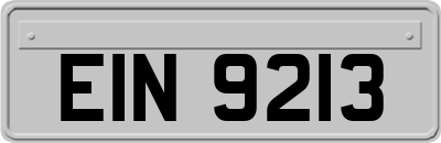 EIN9213