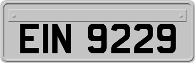 EIN9229