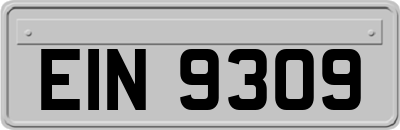 EIN9309