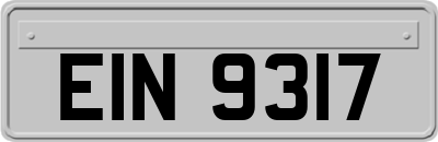 EIN9317