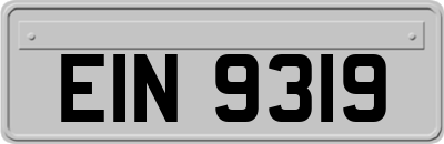 EIN9319