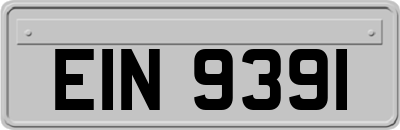 EIN9391