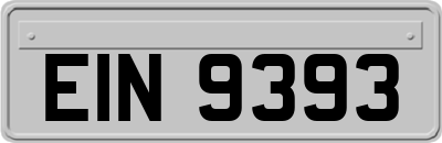 EIN9393