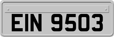 EIN9503