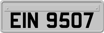 EIN9507