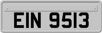 EIN9513