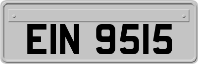 EIN9515