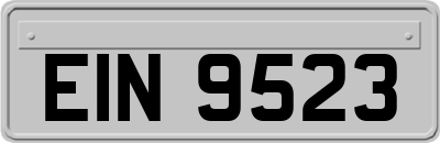 EIN9523