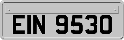 EIN9530