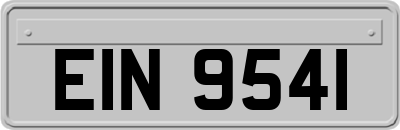 EIN9541