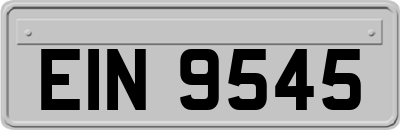 EIN9545