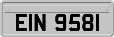 EIN9581
