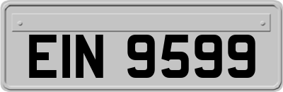 EIN9599