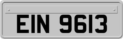 EIN9613