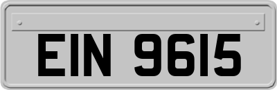 EIN9615