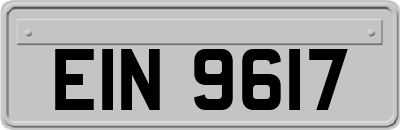 EIN9617