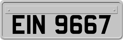 EIN9667