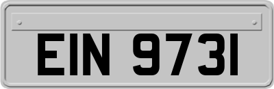 EIN9731