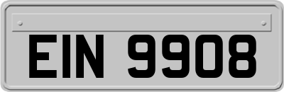 EIN9908