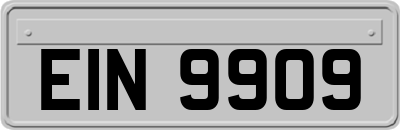 EIN9909