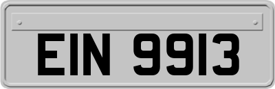EIN9913