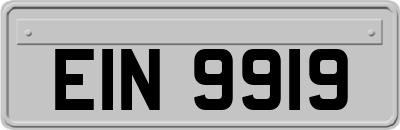 EIN9919