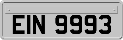 EIN9993