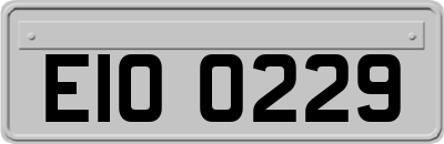 EIO0229