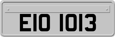 EIO1013