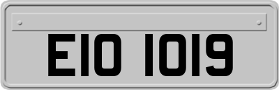 EIO1019
