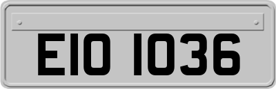 EIO1036