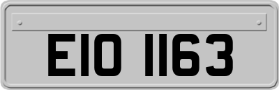 EIO1163