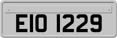 EIO1229