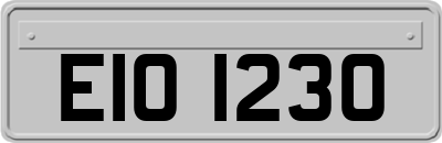EIO1230