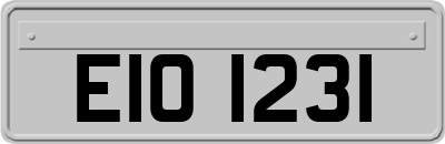 EIO1231