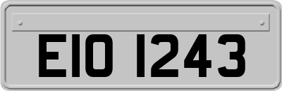 EIO1243
