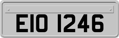 EIO1246